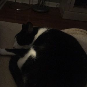 Meet your Posher, Kristin